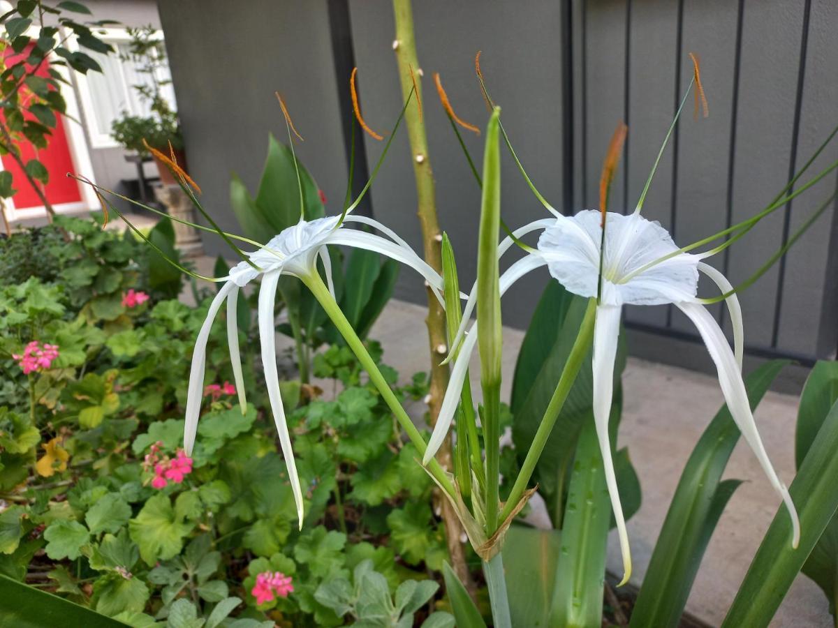 Urban Farm Haus Guesthouse Rundu Dış mekan fotoğraf