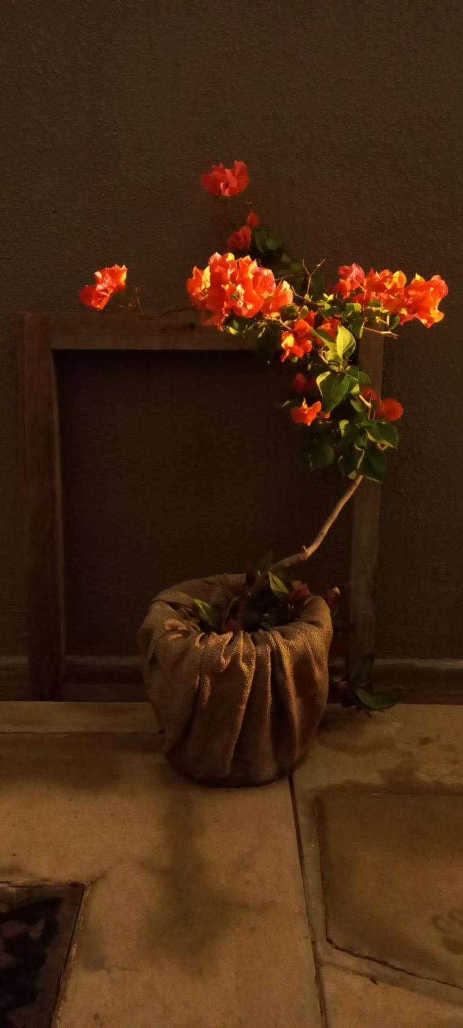 Urban Farm Haus Guesthouse Rundu Dış mekan fotoğraf